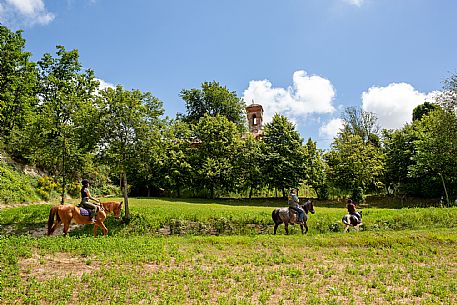 Horse riding Alta Langa